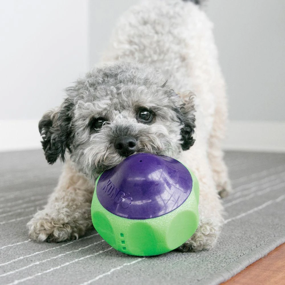 KONG Babbler Motion Activated Babbling Dog Toy 2 KONG Babbler Motion Activated Babbling Dog Toy - Image 2