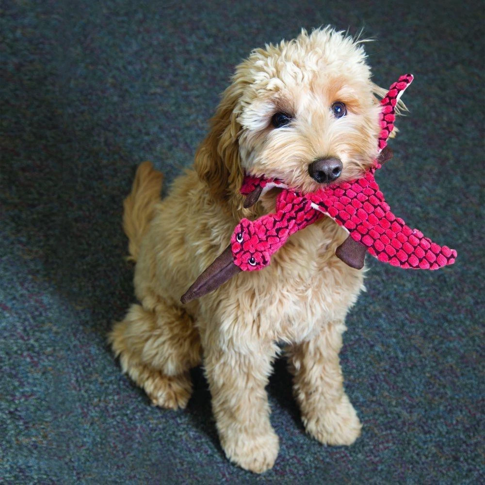 KONG Dynos Triceratops Plush Dog Toy 2 KONG Dynos Triceratops Plush Dog Toy - Image 2