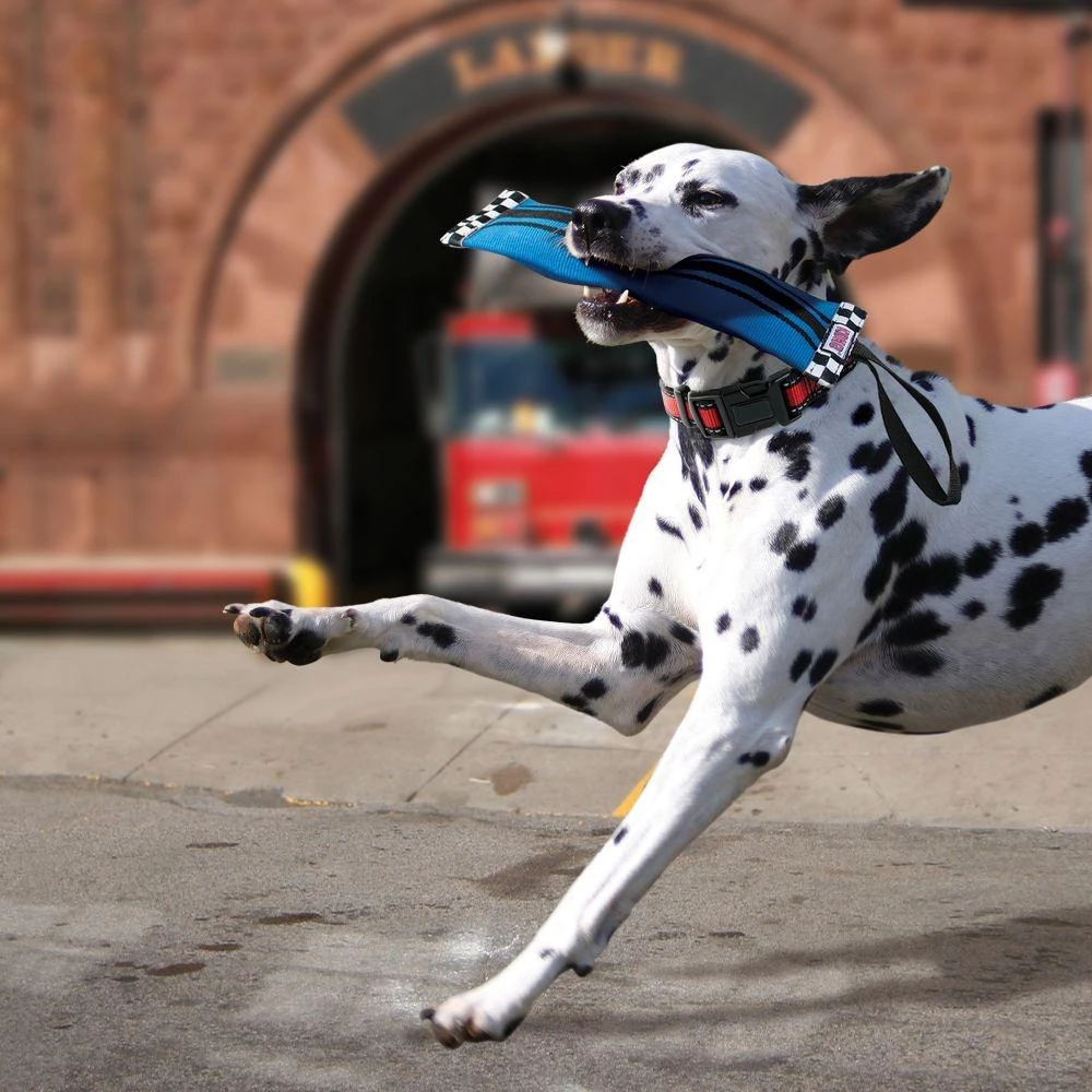 KONG Fire Hose Bottle Tracker Dog Toy 2 KONG Fire Hose Bottle Tracker Dog Toy - Image 2