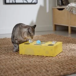 Frisco Cheese Interactive Maze Cardboard Cat Toy Box With Catnip 10 Frisco Cheese Interactive Maze Cardboard Cat Toy Box With Catnip -Kong Sales 506106 PT4. AC SS1800 V1669148185