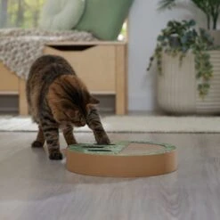 Frisco Interactive Maze & Scratch Cardboard Cat Toy Box With Catnip, Palms 10 Frisco Interactive Maze & Scratch Cardboard Cat Toy Box With Catnip, Palms -Kong Sales 506130 PT4. AC SS1800 V1669212028