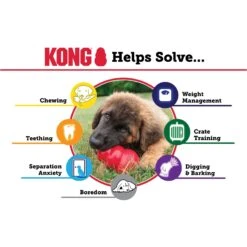 KONG Classic Dog Toy -Kong Sales 53352 PT3. AC SS1800 V1603159897