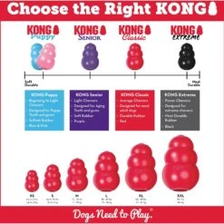 KONG Classic Dog Toy -Kong Sales 53352 PT4. AC SS1800 V1603166186