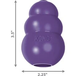 KONG Senior Dog Toy -Kong Sales 53364 PT2. AC SS1800 V1603129329