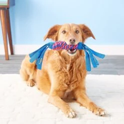 KONG Tugga Wubba Dog Toy, Color Varies -Kong Sales 53461 PT3. AC SS1800 V1544221461