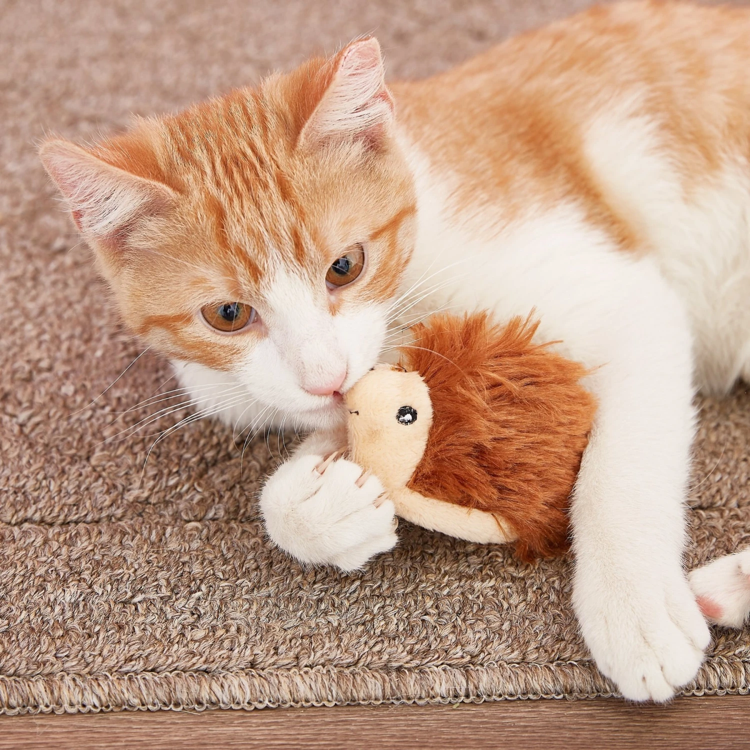 KONG Refillable Hedgehog Catnip Cat Toy 4 KONG Refillable Hedgehog Catnip Cat Toy - Image 4