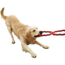 KONG Tug Dog Toy 9 KONG Tug Dog Toy -Kong Sales 59156 PT3. AC SS1800 V1603163197