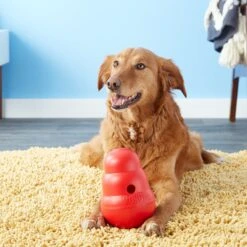 KONG Wobbler Dog Toy 12 KONG Wobbler Dog Toy -Kong Sales 59193 PT4. AC SS1800 V1531423952