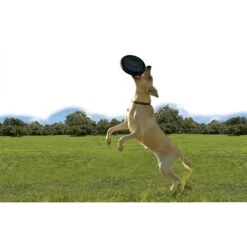 KONG Extreme Flyer Dog Toy -Kong Sales 59199 PT3. AC SS1800 V1531423971