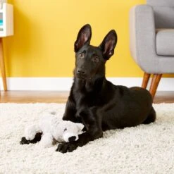 KONG Cozie Buster The Koala Dog Toy -Kong Sales 62765 PT2. AC SS1800 V1531425187