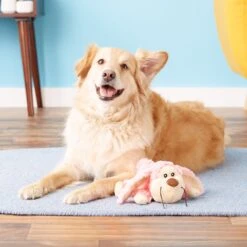 KONG Cozie Floppy The Rabbit Dog Toy -Kong Sales 62767 PT2. AC SS1800 V1531425425