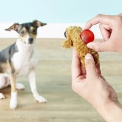 KONG Squeaker Refills 7 KONG Squeaker Refills -Kong Sales 62919 PT3. AC SS1800 V1603167400