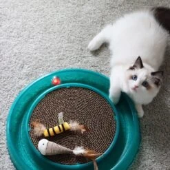 Bergan Replacement Twinkle Ball Cat Toy, Color Varies -Kong Sales 64234 PT3. AC SS1800 V1673648559