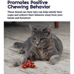 Catstages Plaque Away Pretzel Cat Toy With Catnip, Color Varies -Kong Sales 64689 PT3. AC SS1800 V1631685732