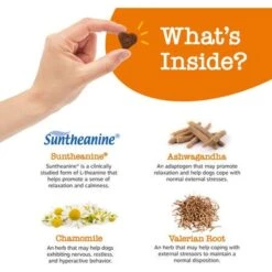 Zesty Paws Hemp Calming Bites Peanut Butter Flavored Soft Chews Composure & Relaxation Supplement For Dogs & KONG Floppy Knots Dog Toy, Fox 11 Zesty Paws Hemp Calming Bites Peanut Butter Flavored Soft Chews Composure & Relaxation Supplement For Dogs & KONG Floppy Knots Dog Toy, Fox -Kong Sales 662822 PT2. AC SS1800 V1699554831