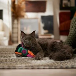 Frisco Halloween Frog In Witch Hat Plush Kicker Cat Toy With Catnip 6 Frisco Halloween Frog In Witch Hat Plush Kicker Cat Toy With Catnip -Kong Sales 667942 PT3. AC SS1800 V1689355019