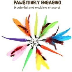 SunGrow Feather Teaser Wand & Fishing Pole Interactive Toy For Indoor Cat & Dog, 11 Count -Kong Sales 684822 PT2. AC SS1800 V1694455029