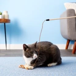 Ethical Pet Skinneeez Friend Teaser Wand Cat Toy With Catnip -Kong Sales 71317 PT5. AC SS1800 V1525718914