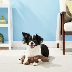 KONG Scrunch Knots Squirrel Dog Toy -Kong Sales 71946 PT4. AC SS1800 V1603167690