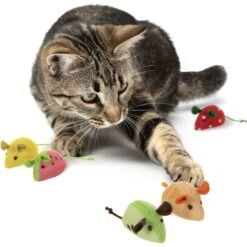 SmartyKat Skitter Slices Plush Cat Toy With Catnip, 5 Count 11 SmartyKat Skitter Slices Plush Cat Toy With Catnip, 5 Count -Kong Sales 736894 PT3. AC SS1800 V1672842488