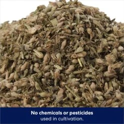 Frisco Natural Catnip & Hartz Just For Cats Mini Mice Cat Toy With Catnip, 5 Count 12 Frisco Natural Catnip & Hartz Just For Cats Mini Mice Cat Toy With Catnip, 5 Count -Kong Sales 737478 PT3. AC SS1800 V1683212198