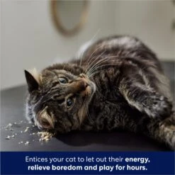 Frisco Natural Catnip & Hartz Just For Cats Mini Mice Cat Toy With Catnip, 5 Count 13 Frisco Natural Catnip & Hartz Just For Cats Mini Mice Cat Toy With Catnip, 5 Count -Kong Sales 737478 PT4. AC SS1800 V1683212204