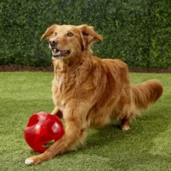 KONG Jumbler Ball Dog Toy, Color Varies 10 KONG Jumbler Ball Dog Toy, Color Varies -Kong Sales 77643 PT3. AC SS1800 V1605311810