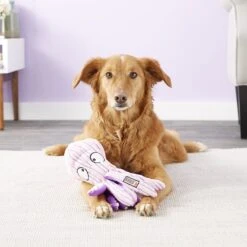 KONG CuteSeas Octopus Dog Toy 6 KONG CuteSeas Octopus Dog Toy -Kong Sales 83360 PT2. AC SS1800 V1531429932