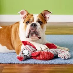 KONG CuteSeas Seahorse Dog Toy 6 KONG CuteSeas Seahorse Dog Toy -Kong Sales 83365 PT2. AC SS1800 V1605328611