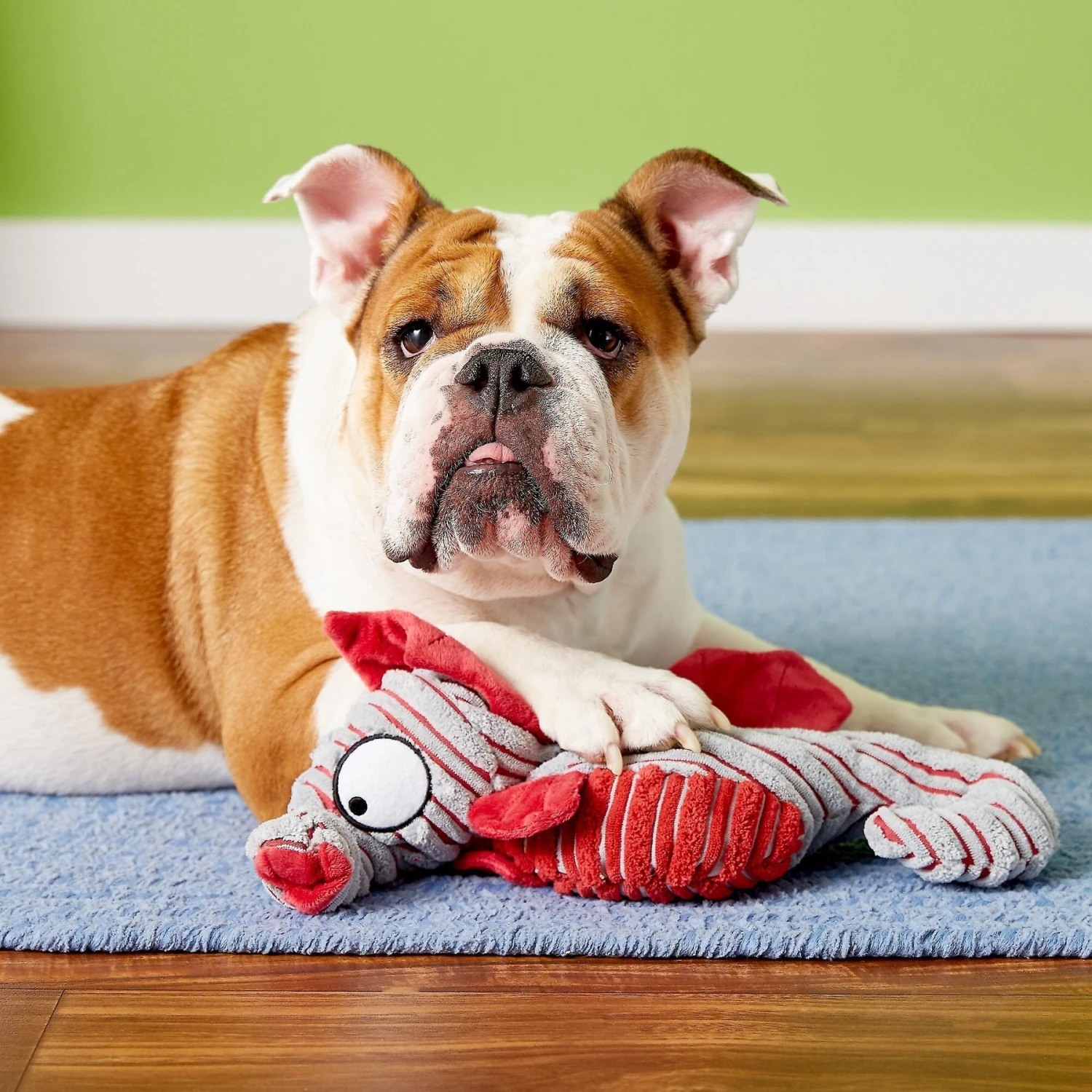 KONG CuteSeas Seahorse Dog Toy 3 KONG CuteSeas Seahorse Dog Toy - Image 3