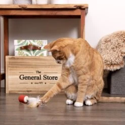 SmartyKat Instincts Sneaky Spinner USB Rechargeable Teaser Electronic Motion Cat Toy 9 SmartyKat Instincts Sneaky Spinner USB Rechargeable Teaser Electronic Motion Cat Toy -Kong Sales 847302 PT2. AC SS1800 V1683729376