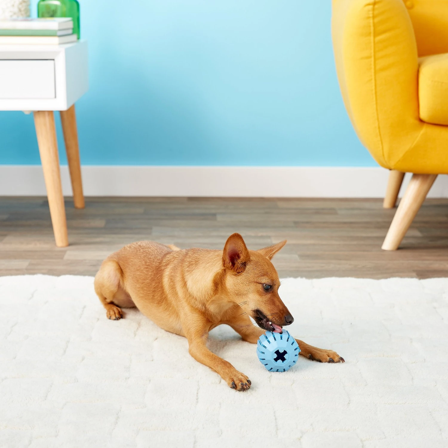 KONG Puppy Activity Ball Dog Toy, Color Varies 6 KONG Puppy Activity Ball Dog Toy, Color Varies - Image 6