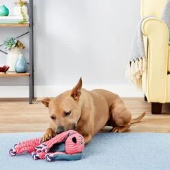 KONG Floppy Knots Dog Toy, Fox & KONG Floppy Knots Dog Toy, Bunny -Kong Sales 916630 PT8. AC SS1800 V1689884661