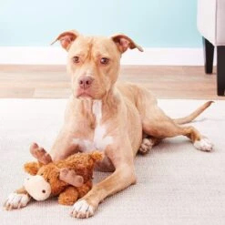 KONG Cozie Marvin The Moose Plush Dog Toy & KONG Cozie Ali The Alligator Dog Toy -Kong Sales 916678 PT4. AC SS1800 V1689881226