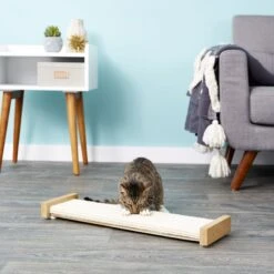 SmartCat The Ultimate 32-in Sisal Cat Scratching Post & SmartCat Bootsie's Combination Scratcher -Kong Sales 933614 PT8. AC SS1800 V1692304039