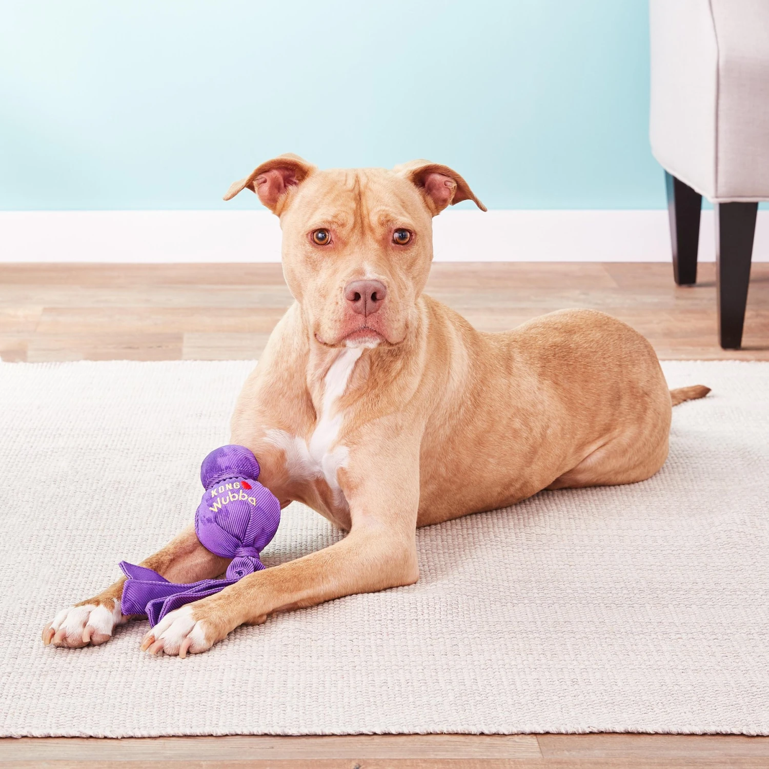 KONG Wubba Classic Dog Toy, Color Varies & KONG Tugga Wubba Dog Toy, Color Varies 5 KONG Wubba Classic Dog Toy, Color Varies & KONG Tugga Wubba Dog Toy, Color Varies - Image 5