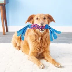 KONG Wubba Classic Dog Toy, Color Varies & KONG Tugga Wubba Dog Toy, Color Varies 17 KONG Wubba Classic Dog Toy, Color Varies & KONG Tugga Wubba Dog Toy, Color Varies -Kong Sales 947390 PT8. AC SS1800 V1693924204