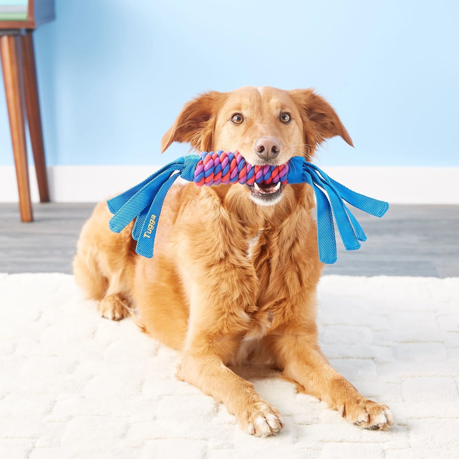 KONG Wubba Classic Dog Toy, Color Varies & KONG Tugga Wubba Dog Toy, Color Varies 9 KONG Wubba Classic Dog Toy, Color Varies & KONG Tugga Wubba Dog Toy, Color Varies - Image 9