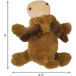 KONG Cozie Ali The Alligator Dog Toy + 2 Items -Kong Sales 971406 PT2. AC SS1800 V1696339108