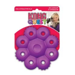 Kong Quest Star Pod -Kong Sales PE13 3 1000x1000 b1a8374a f47a 48b9 a2ba 29b903949d08