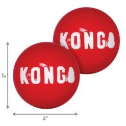 KONG Signature Ball -Kong Sales SKB3 4 20210703044159 20210703044714 1000x1000 1